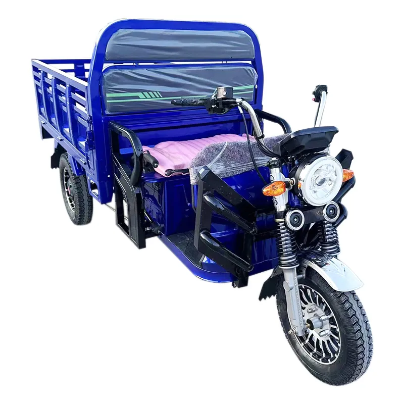 Tuk Tuk 1500W Psm Motor Electric Motorcycle Cargo Trike Tricycle - detail 3