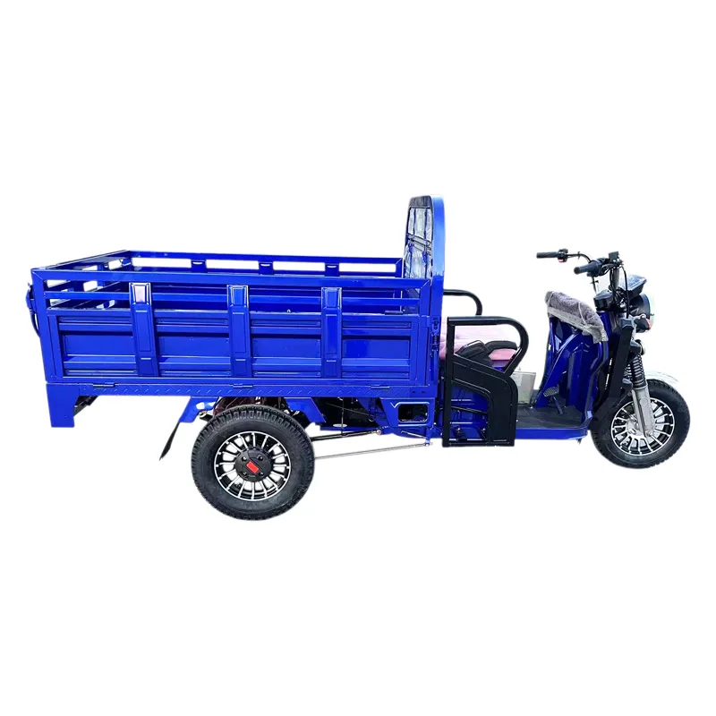 Tuk Tuk 1500W Psm Motor Electric Motorcycle Cargo Trike Tricycle - detail 4