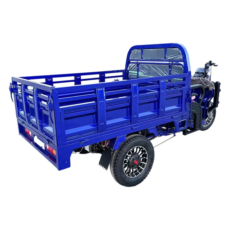 Tuk Tuk 1500W Psm Motor Electric Motorcycle Cargo Trike Tricycle - detail 5