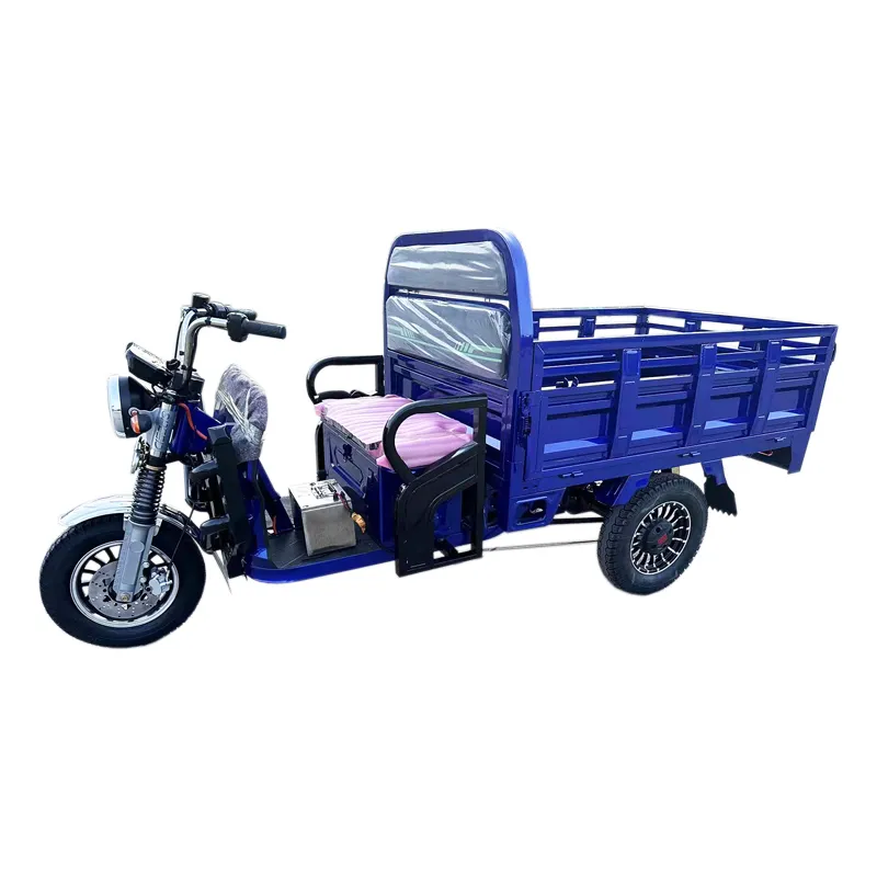 Tuk Tuk 1500W Psm Motor Electric Motorcycle Cargo Trike Tricycle - detail 8