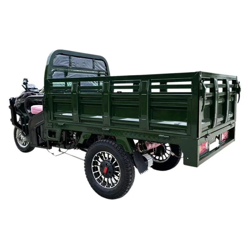 Tuk Tuk 1500W Psm Motor Electric Motorcycle Cargo Trike Tricycle - detail 9