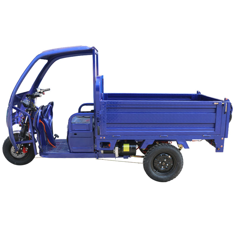Premium Build 1200W Motor 45km/H Stable Cargo Electric Tricycle - Image 5