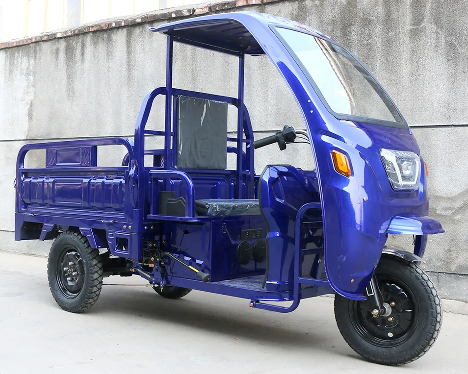Premium Build 1200W Motor 45km/H Stable Cargo Electric Tricycle - detail 1