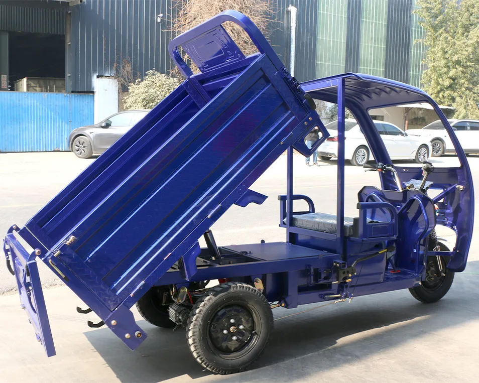 Premium Build 1200W Motor 45km/H Stable Cargo Electric Tricycle - detail 2