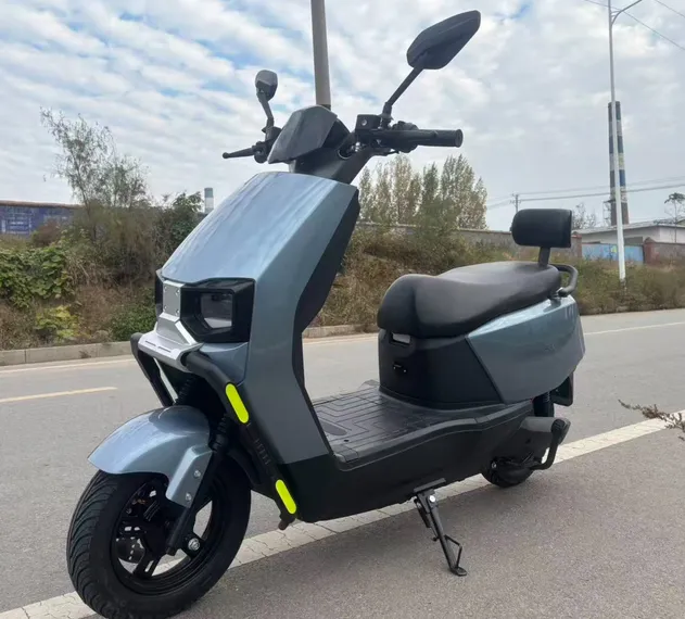 Premium Build 1200W Motor 45km/H Stable Cargo Electric Tricycle - detail 11