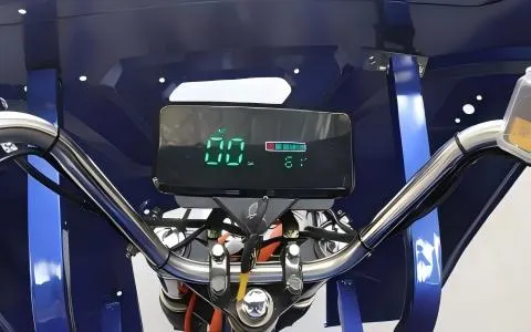 Premium Build 1200W Motor 45km/H Stable Cargo Electric Tricycle - detail 3