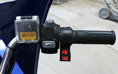 Premium Build 1200W Motor 45km/H Stable Cargo Electric Tricycle - detail 4