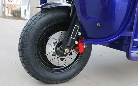Premium Build 1200W Motor 45km/H Stable Cargo Electric Tricycle - detail 6