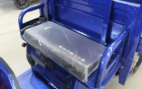 Premium Build 1200W Motor 45km/H Stable Cargo Electric Tricycle - detail 8