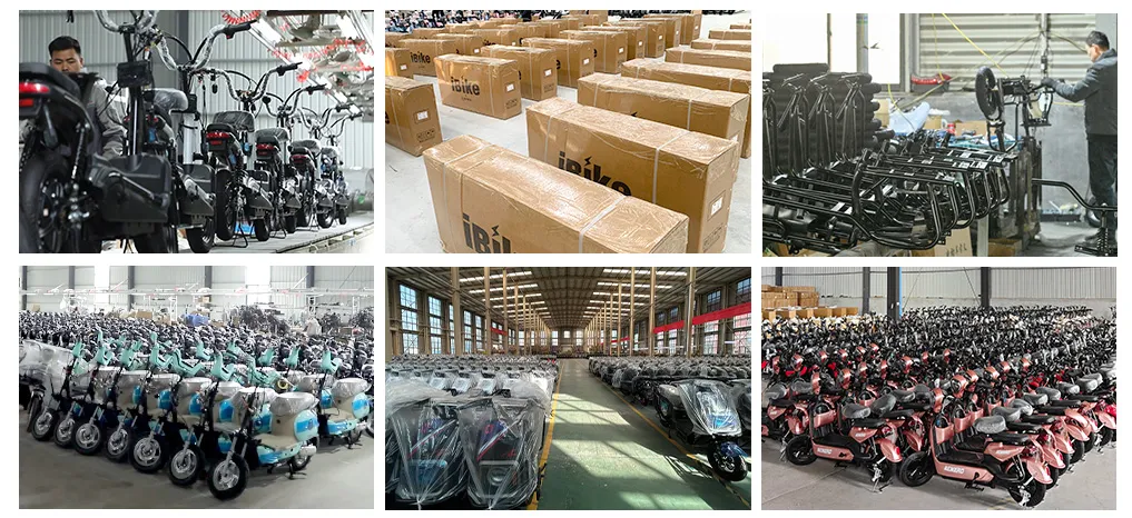 Premium Build 1200W Motor 45km/H Stable Cargo Electric Tricycle - detail 10
