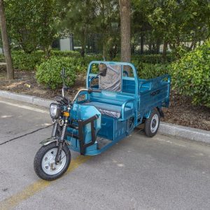 Heavy Duty Transport Electric Trike 3-Wheel Cargo Tricycle Front Disc Farm Construction