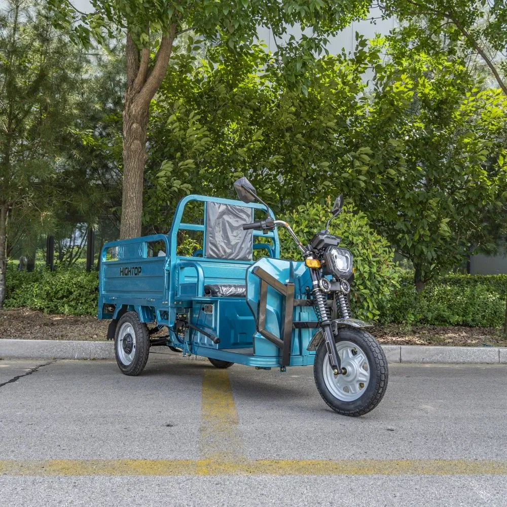 Heavy Duty Transport Electric Trike 3-Wheel Cargo Tricycle Front Disc Farm Construction - Image 5