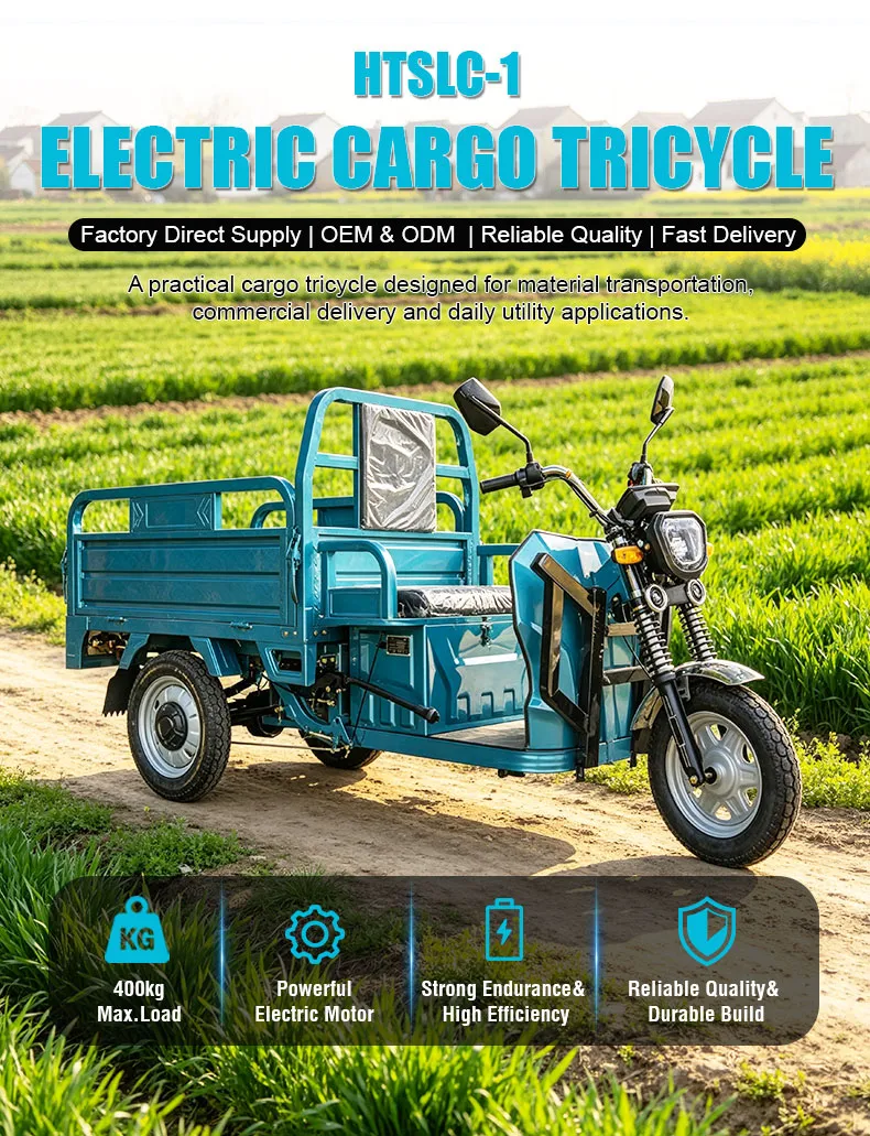 Heavy Duty Transport Electric Trike 3-Wheel Cargo Tricycle Front Disc Farm Construction - detail 1