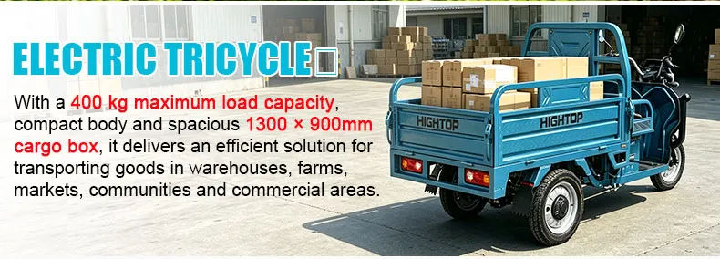 Heavy Duty Transport Electric Trike 3-Wheel Cargo Tricycle Front Disc Farm Construction - detail 2