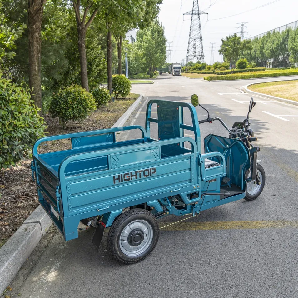 Heavy Duty Transport Electric Trike 3-Wheel Cargo Tricycle Front Disc Farm Construction - detail 11