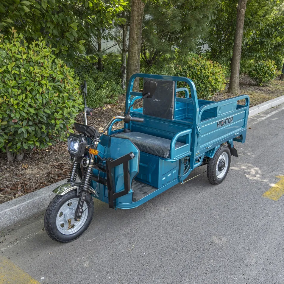 Heavy Duty Transport Electric Trike 3-Wheel Cargo Tricycle Front Disc Farm Construction - detail 10