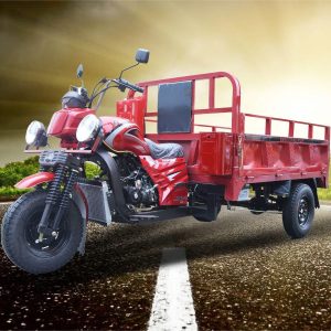 OEM/ODM 1500W Electric Trike, Vehicle, Bicycle, Bike, Motorbike, Rickshaw, Three Wheel Motorcycle, Closed Electric Cargo Tricycle Manufacturer