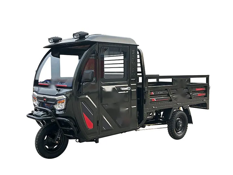OEM/ODM 1500W Electric Trike, Vehicle, Bicycle, Bike, Motorbike, Rickshaw, Three Wheel Motorcycle, Closed Electric Cargo Tricycle Manufacturer - detail 1