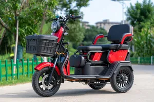 OEM/ODM 1500W Electric Trike, Vehicle, Bicycle, Bike, Motorbike, Rickshaw, Three Wheel Motorcycle, Closed Electric Cargo Tricycle Manufacturer - detail 13