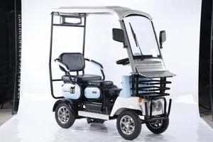 OEM/ODM 1500W Electric Trike, Vehicle, Bicycle, Bike, Motorbike, Rickshaw, Three Wheel Motorcycle, Closed Electric Cargo Tricycle Manufacturer - detail 18