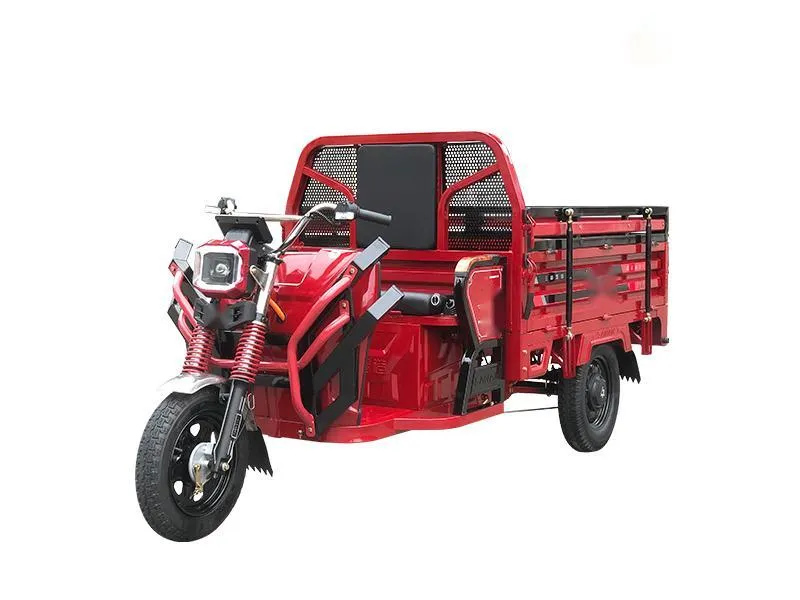 OEM/ODM 1500W Electric Trike, Vehicle, Bicycle, Bike, Motorbike, Rickshaw, Three Wheel Motorcycle, Closed Electric Cargo Tricycle Manufacturer - detail 5