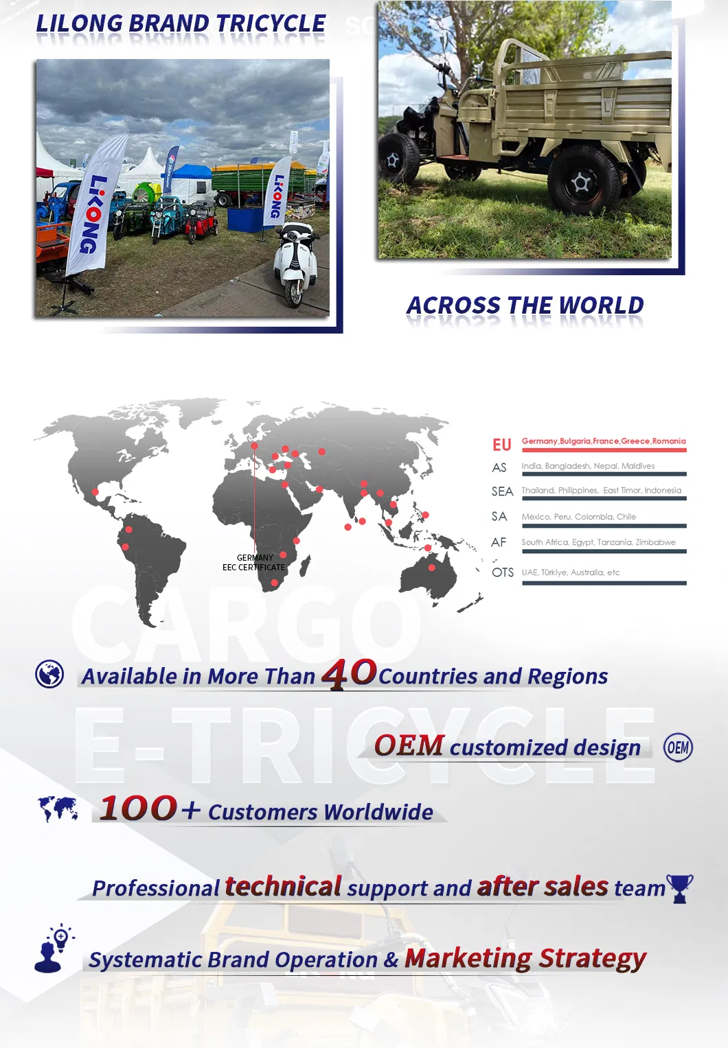 Electric Tricycles Battery Operated Three Wheeler for Farm Cargo Delivery - detail 6