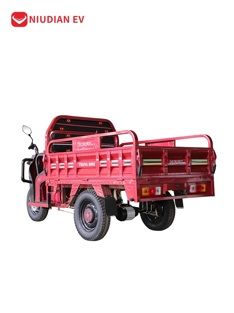 Wholesale Custom 500kg Max Load Electric Cargo Tricycle 3-Wheel for Adults - detail 7