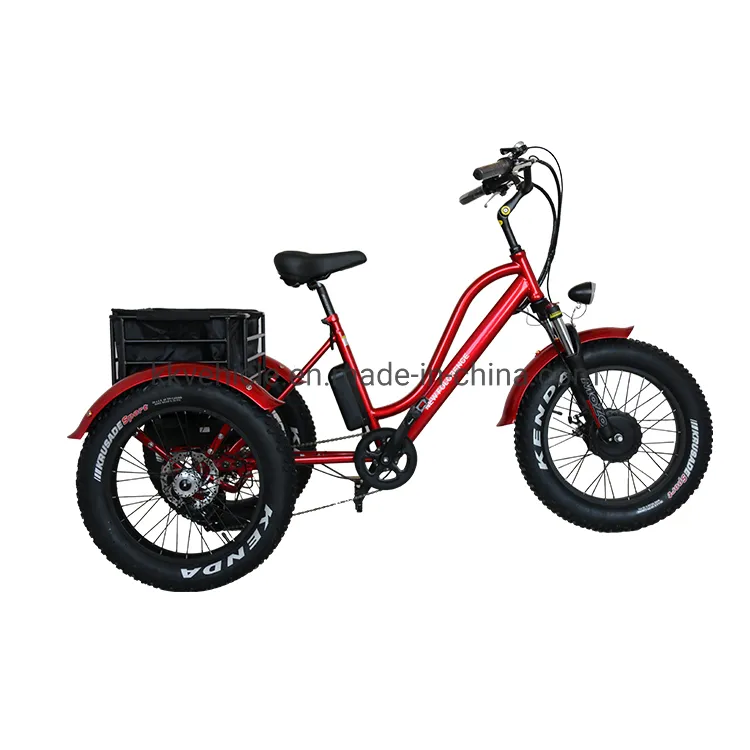 48V500W Electric Tricycle with Lithium Battery, Rear Steel Basket and Fat Tire for Cargo Transportation - detail 1