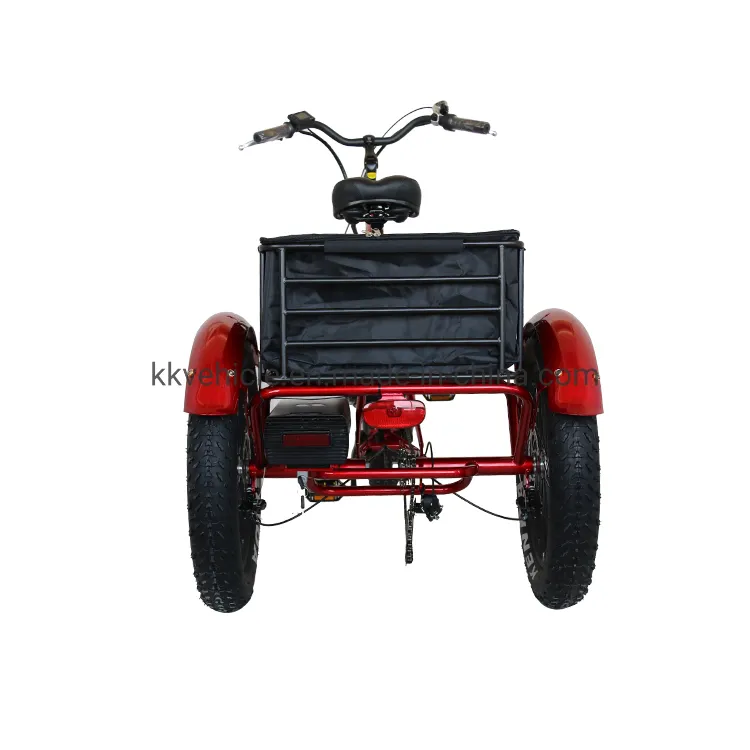 48V500W Electric Tricycle with Lithium Battery, Rear Steel Basket and Fat Tire for Cargo Transportation - detail 2