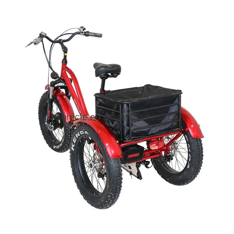 48V500W Electric Tricycle with Lithium Battery, Rear Steel Basket and Fat Tire for Cargo Transportation - detail 3