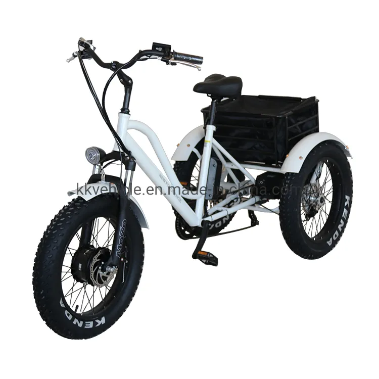 48V500W Electric Tricycle with Lithium Battery, Rear Steel Basket and Fat Tire for Cargo Transportation - detail 4
