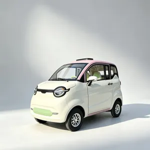 48V500W Electric Tricycle with Lithium Battery, Rear Steel Basket and Fat Tire for Cargo Transportation - detail 10