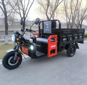 Powerful 60V 1500W Electric Cargo Tricycle for Efficient Transport - detail 11
