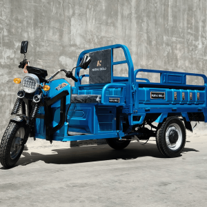 Dual Use Tricycle: Affordable Electric Solution for Cargo and Passengers