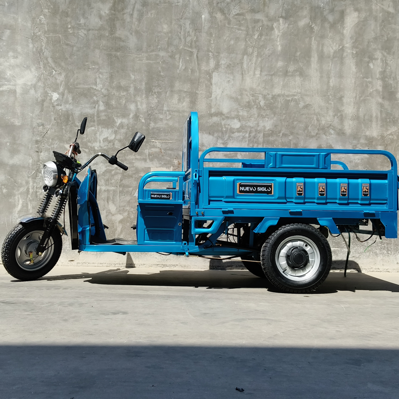 Dual Use Tricycle: Affordable Electric Solution for Cargo and Passengers - Image 2