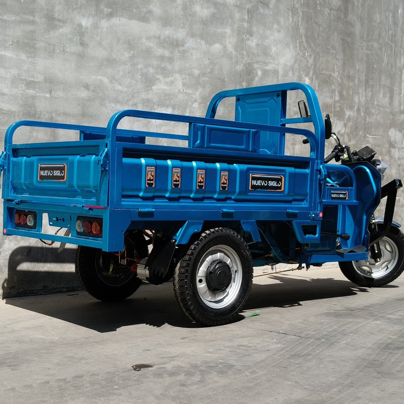 Dual Use Tricycle: Affordable Electric Solution for Cargo and Passengers - Image 4