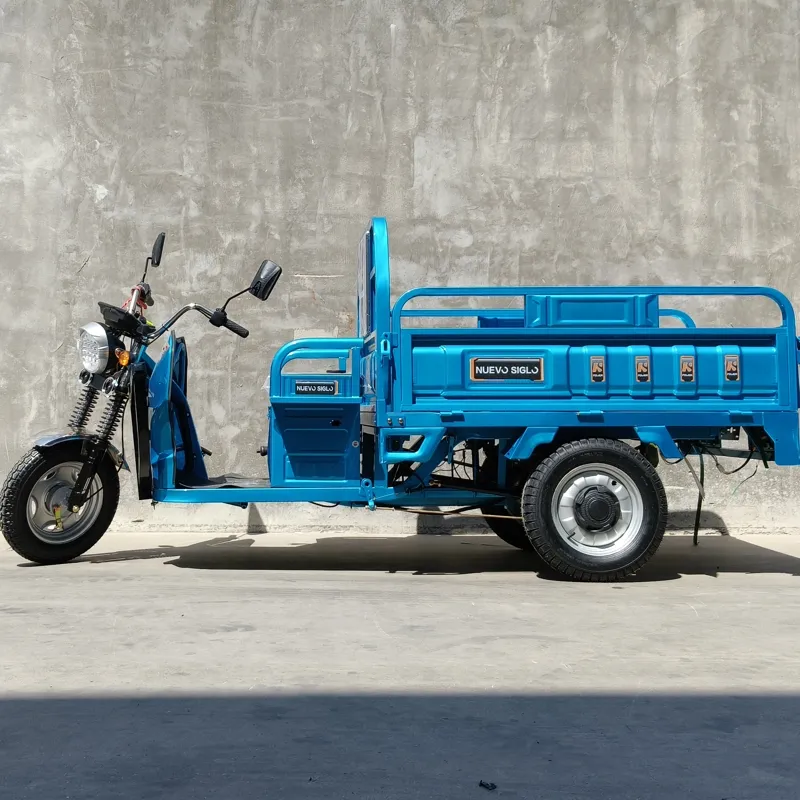 Dual Use Tricycle: Affordable Electric Solution for Cargo and Passengers - detail 1