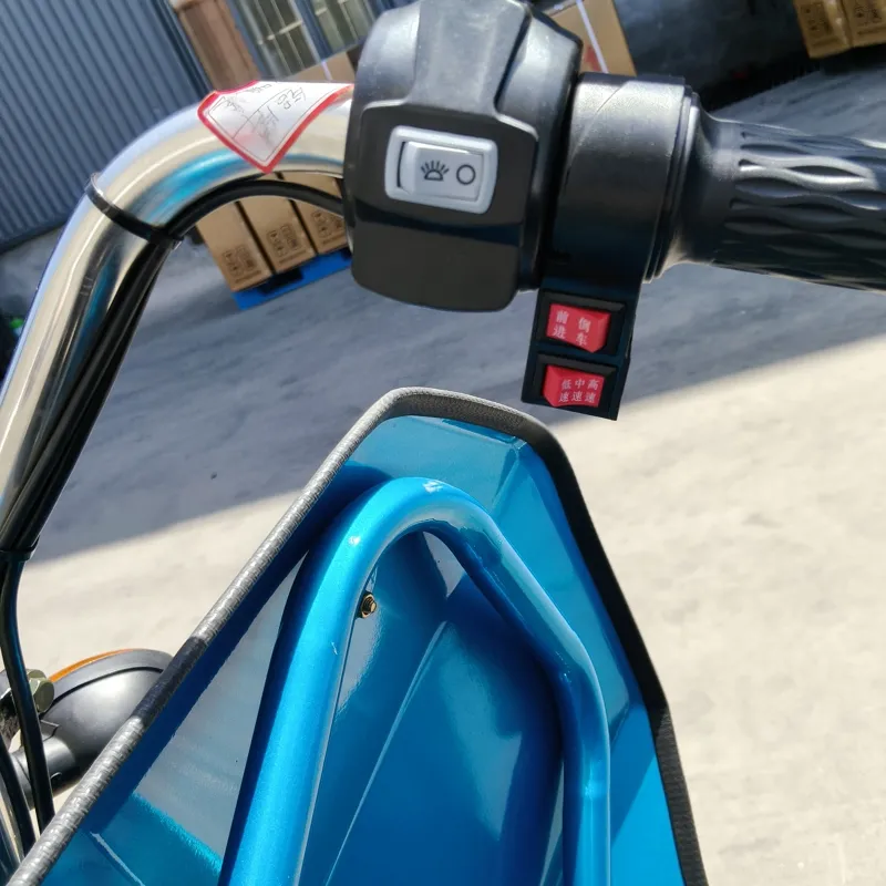 Dual Use Tricycle: Affordable Electric Solution for Cargo and Passengers - detail 11