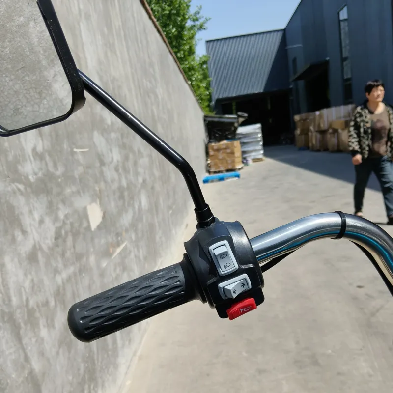 Dual Use Tricycle: Affordable Electric Solution for Cargo and Passengers - detail 12