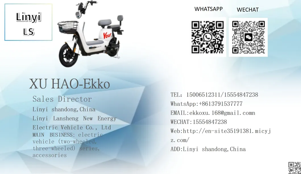 Dual Use Tricycle: Affordable Electric Solution for Cargo and Passengers - detail 19