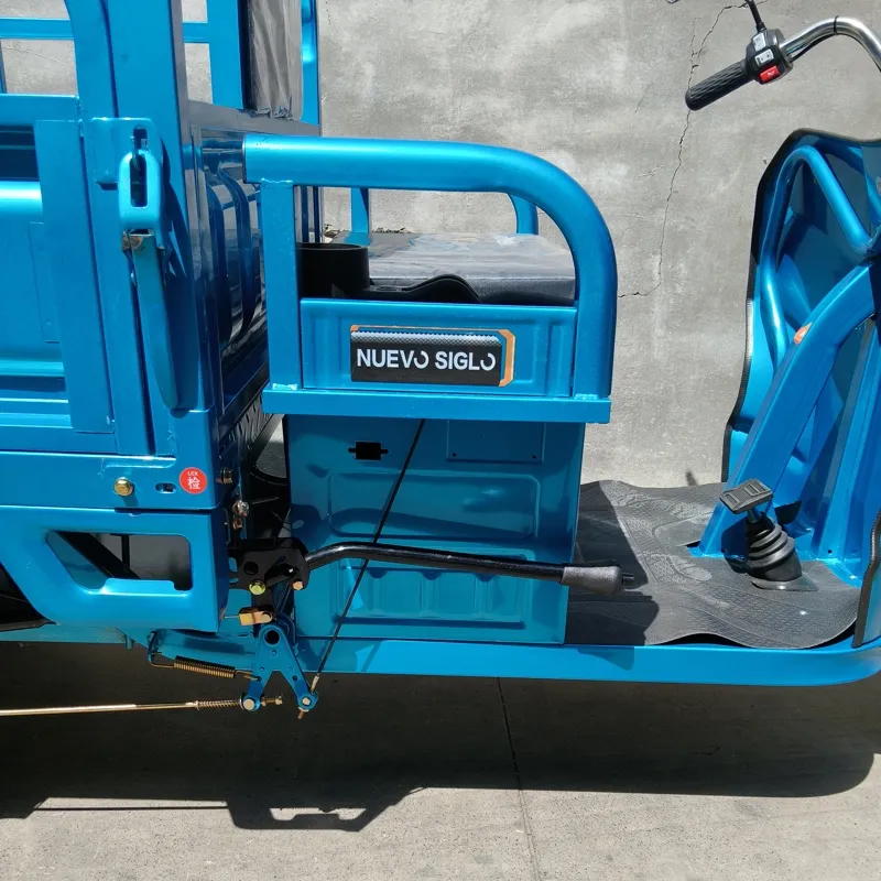 Dual Use Tricycle: Affordable Electric Solution for Cargo and Passengers - detail 9