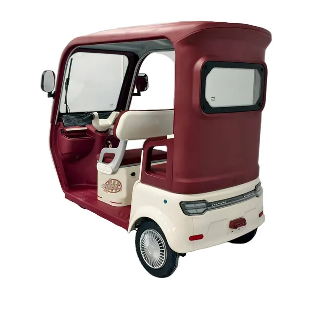 Colorful Quality 1000W Electric Tricycle for Adult Passenger and Cargo Three Wheel 60V-72V New Design Electric Tricycle - detail 4