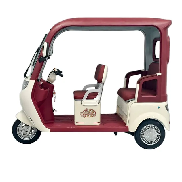 Colorful Quality 1000W Electric Tricycle for Adult Passenger and Cargo Three Wheel 60V-72V New Design Electric Tricycle - detail 5