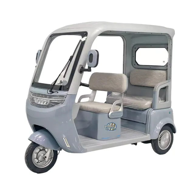 Colorful Quality 1000W Electric Tricycle for Adult Passenger and Cargo Three Wheel 60V-72V New Design Electric Tricycle - detail 9