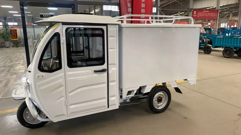 1000W Motor Versatile Cabin Electric Cargo Tricycle for Urban Delivery Solutions - detail 2