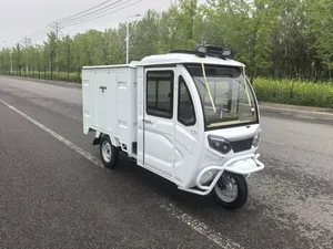 1000W Motor Versatile Cabin Electric Cargo Tricycle for Urban Delivery Solutions - detail 20