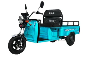 Electric Tricycle – Versatile Electric Cargo Tricycle for Efficient Transport - detail 19