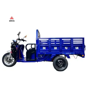 Electric Tricycle – Versatile Electric Cargo Tricycle for Efficient Transport - detail 20