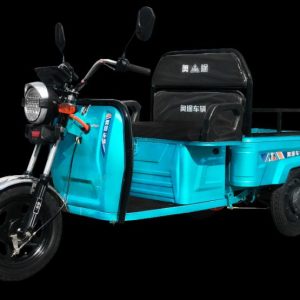 Compact & Lightweight Electric Tricycle E-Trike -Passenger Cargo Carrying Capacity for Your Needs