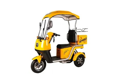 Versatile Electric Cargo Tricycle for Urban Commuting Needs - detail 6
